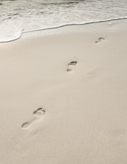 human adult footprint at the beach