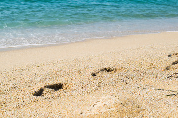 Footsteps on the sand beach, sea on background, seashore
