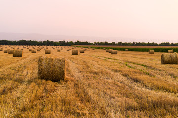 haystack