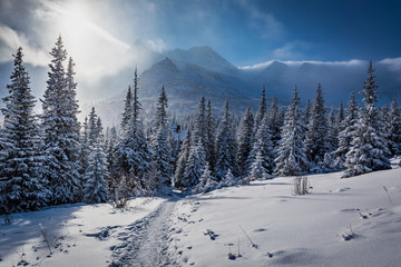 Naklejka premium Enjoy your winter journey in Tatras Mountains, Poland