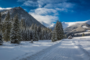 Fototapeta premium Winter trail leading to Chocholowska valley, Tatra Mountains, Poland