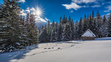Obraz premium Small wooden cabin in winter in the mountains at sunrise, Tatras, Poland
