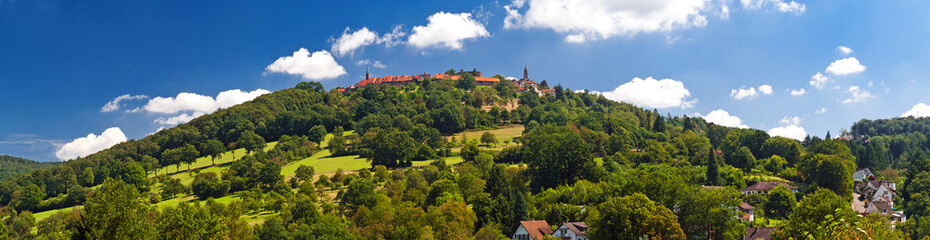 Fototapeta na wymiar Bergdorf Dilsberg auf einer Bergkuppe über dem Neckar, Baden