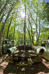 The abandoned car cemetery hidden deep in the swedish woods. Nature is slowly taking control. 