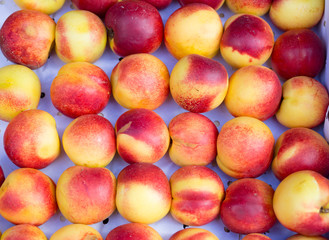Ripe red nectarines are in the box