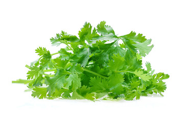 coriander on white