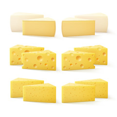 Vector Set of Triangular Pieces of Various Kind of Cheese Swiss Bri  Camembert Close up Isolated on White Background