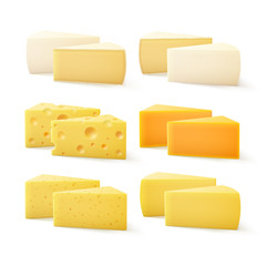 Vector Set of Triangular Pieces of Various Kind of Cheese Swiss Cheddar Bri Parmesan Camembert Close up Isolated on White Background - obrazy, fototapety, plakaty
