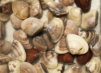 balık pazarı tokyo