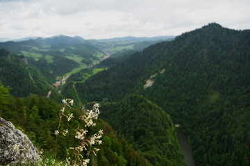 Fototapeta na wymiar Pieniny national park and mountains