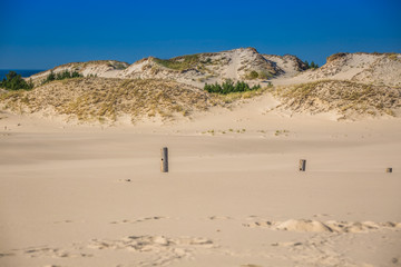 Fototapeta na wymiar The dunes of the Slowinski national park in Poland