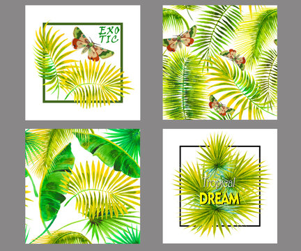 Tropical print for tee shirt . Palm leafs and butterfly in the frame. Typographic design artwork. poster or card, decor for home, pillow.