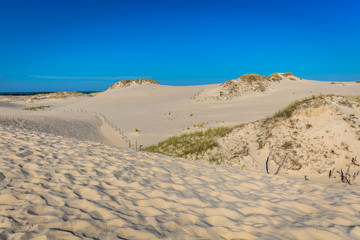 Fototapeta na wymiar The dunes of the Slowinski national park in Poland