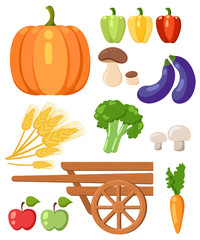 Harvest festival. Harvest fruits and vegetables. Autumn Collection of elements for your design.