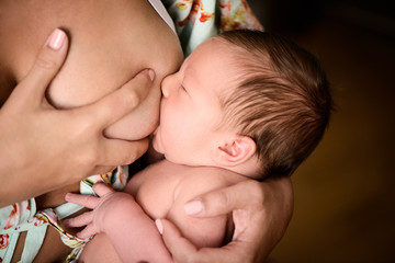 newborn baby eats breast milk