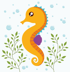 Obraz premium Sea animal cartoon design represented by sea horse icon. Colorfull and flat illustration. 