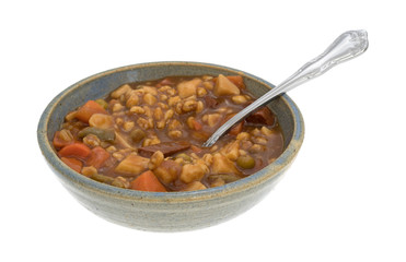 Bowl of canned beef stew with a spoon on a white background.