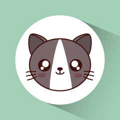 Cute animal design represented by kawaii cat icon over circle. Colorfull and flat illustration. 