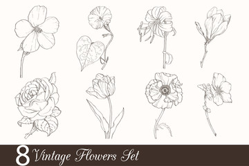 Vector Set of 8 Vintage Drawing Flowers With Tulip, Poppy, Iris, Rose, Magnolia, In Classic Retro Style.