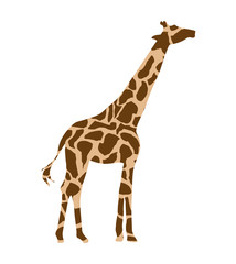 Naklejki  afrykańska ikona na białym tle żyrafa