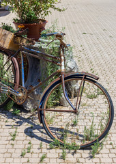 Fototapeta na wymiar Старый ржавый сломанный велосипед стоит на улице