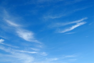 Naklejka na ściany i meble white fluffy clouds on blue sky
