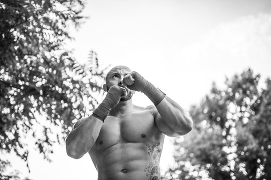 Male boxer training outdoors