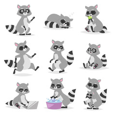 Cartoon raccoon vector illustration. - obrazy, fototapety, plakaty