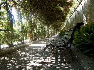 Jardin de Monforte 