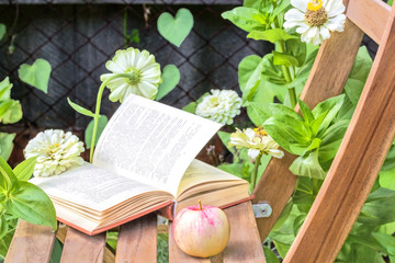 Apple and book on a wooden chair among the flowers