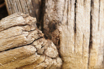 Close up of wooden stumps