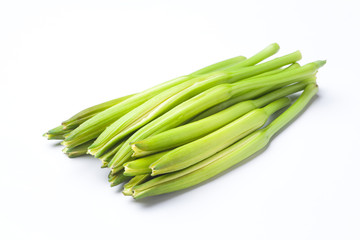 fresh daylily isolated on white background