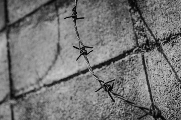 abstract barbed wire fence lack and white shot