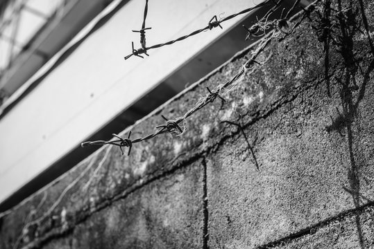 abstract barbed wire fence lack and white shot