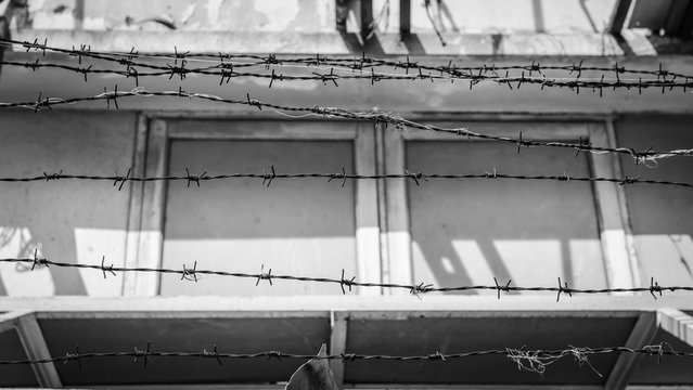 abstract barbed wire fence lack and white shot