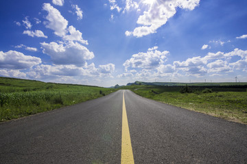 Fototapeta premium empty asphalt road on grassland