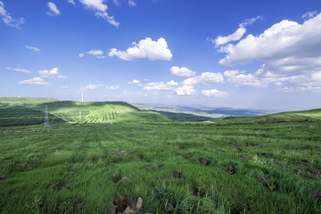 natural grassland, Zhangjiakou, Hebei, China