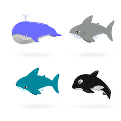 Cartoon sea animals  isolated on white for wildlife or mascot design