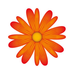 flower floral nature icon