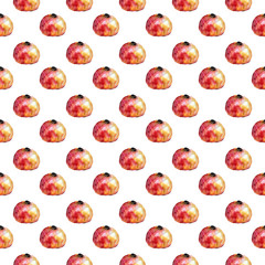 pomegranate fruit color watercolor pattern.