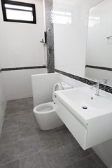 toilet and bathroom in modern style