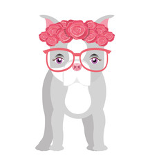 cute bulldog isolated icon