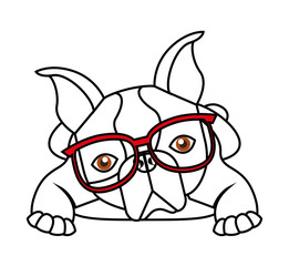 cute bulldog isolated icon