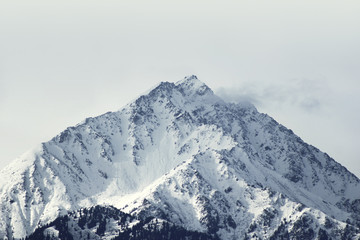 Naklejka premium Mountains and hills, hipster vintage filter