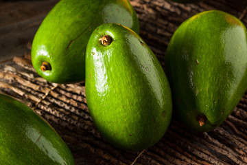 Raw Green Organic Florida Avocados