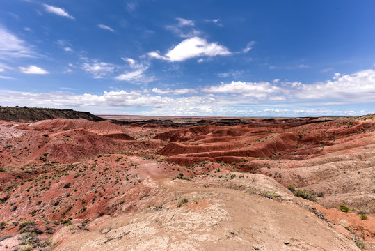 Tiponi Point - Petrified Forest National Park