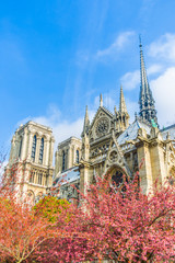Obraz premium Notre Dame, Paris.