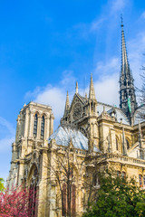 Notre Dame, Paris.