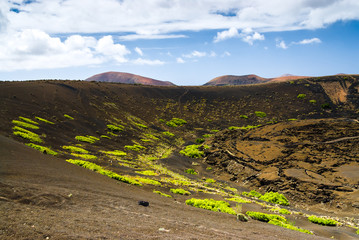 Volcanic Lanzarote landscape.  Lanzarote. Canary Islands. Spain