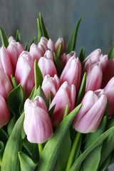 Bouquet of pink tulips